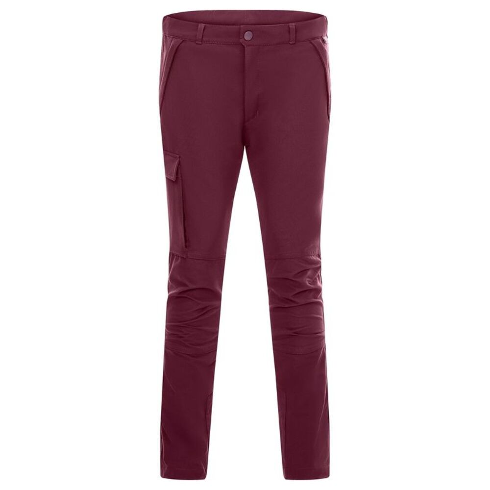 Regatta Childrens/Kids Tech Mountain Pants / Fig